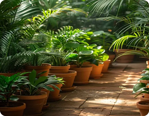 Interior gardening