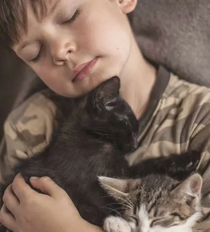 Cat receiving loving care