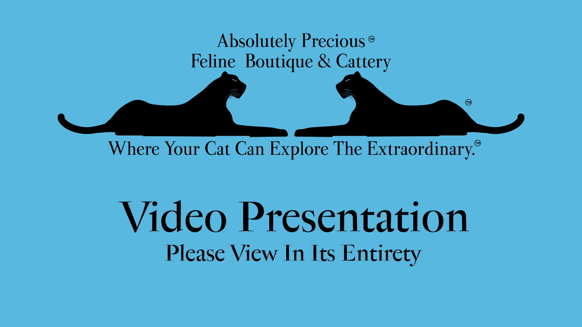 Absolutely Precious Video Presentation